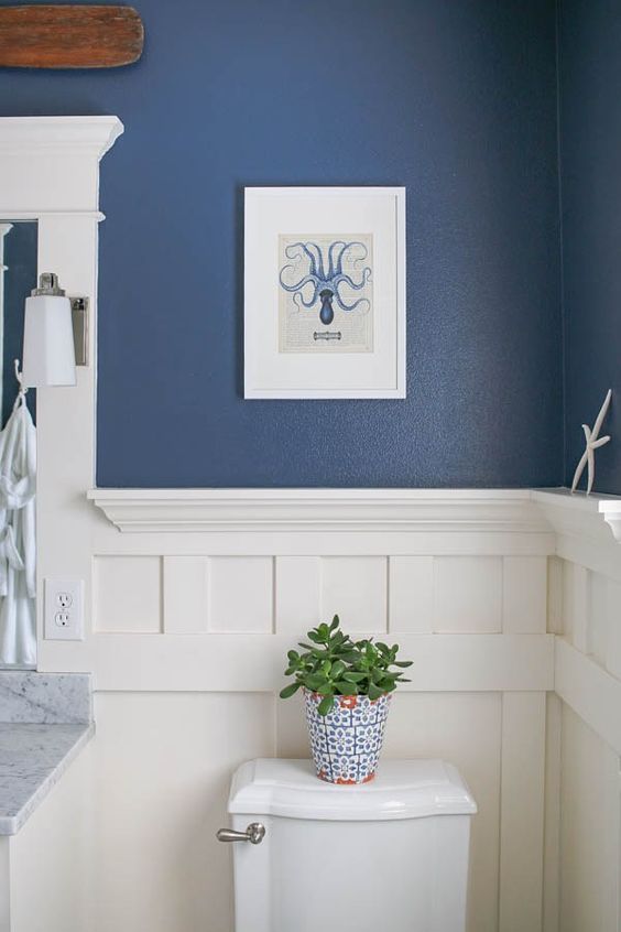 Sherwin Williams Indigo SW6531